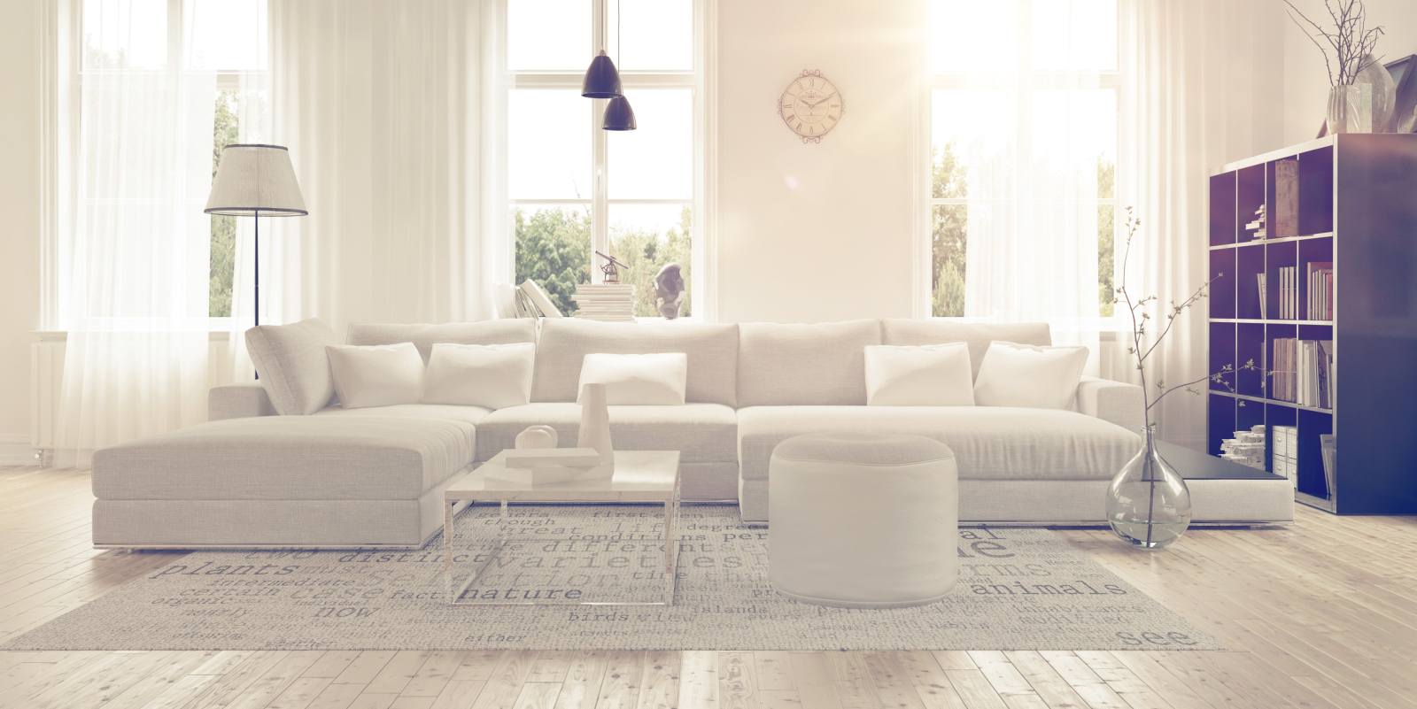 Living room with clean white couch and light hardwood floors